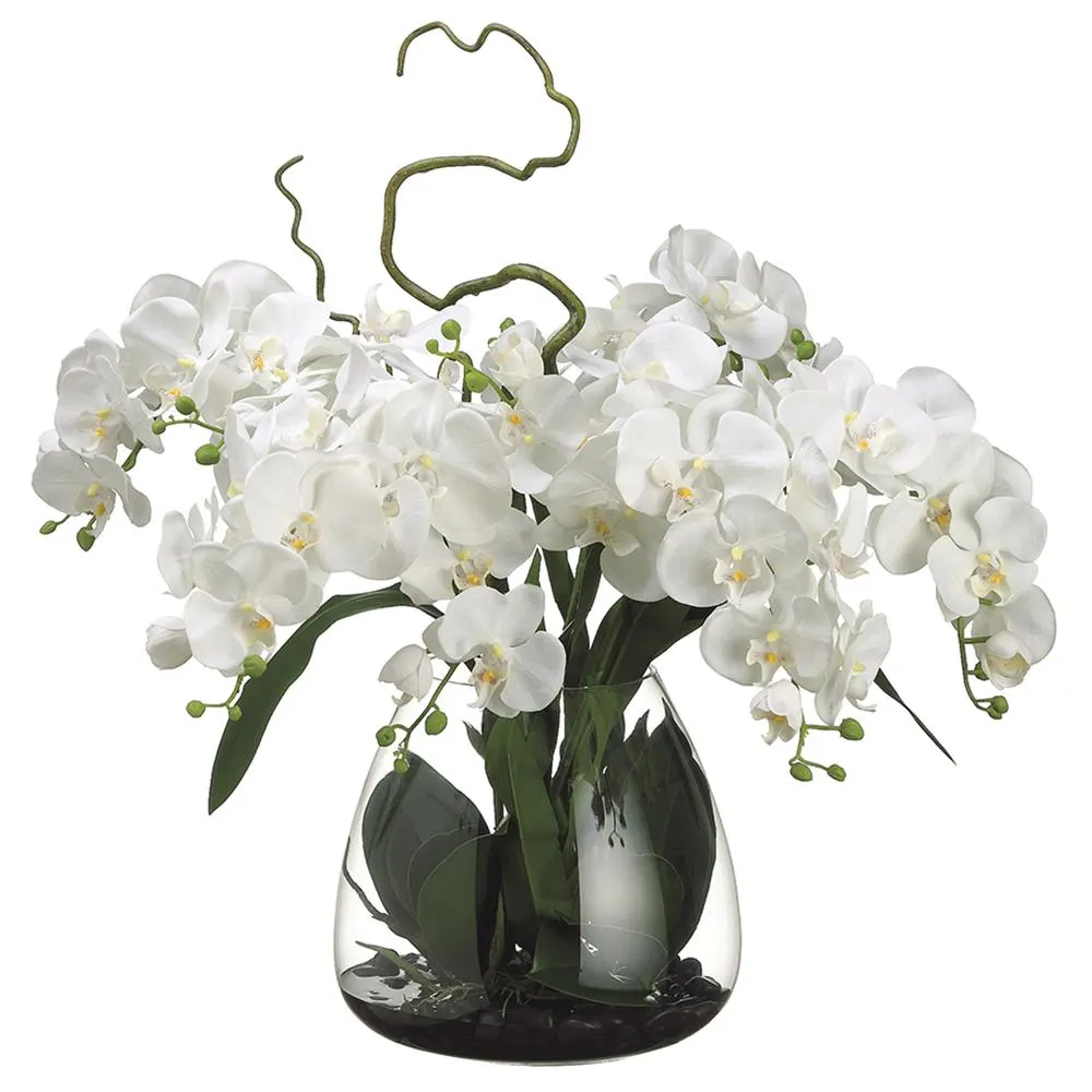 WF1157-CR