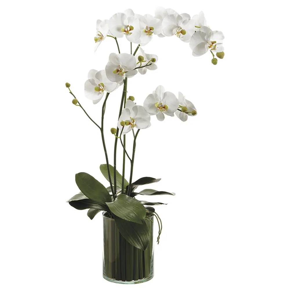 36Hx9Wx22"L ORCHIDS IN SOIL