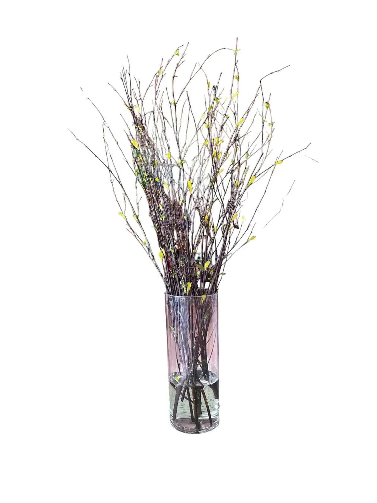 40"mini Leaves On Twig In Gls