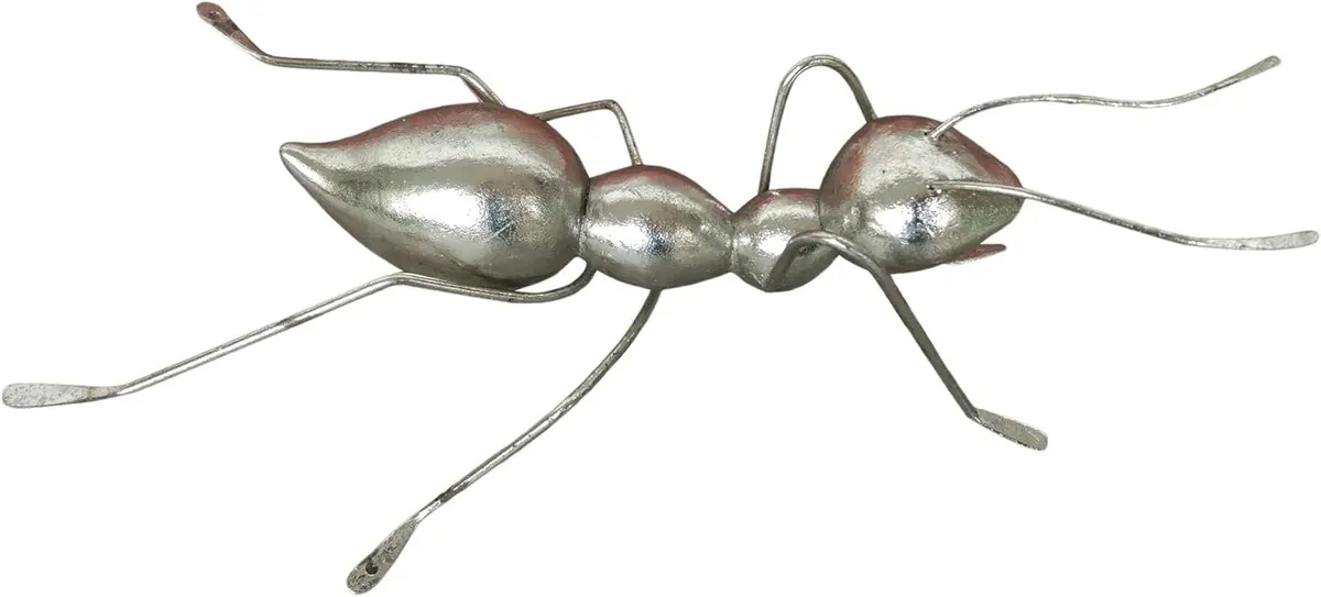 Silver Ant