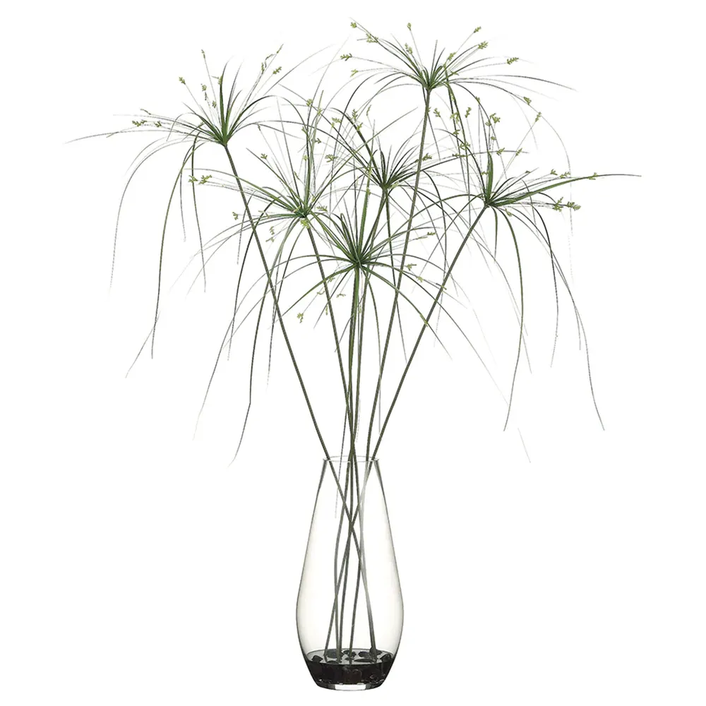 40H33W33"l Papyrus Grass(P) Gr
