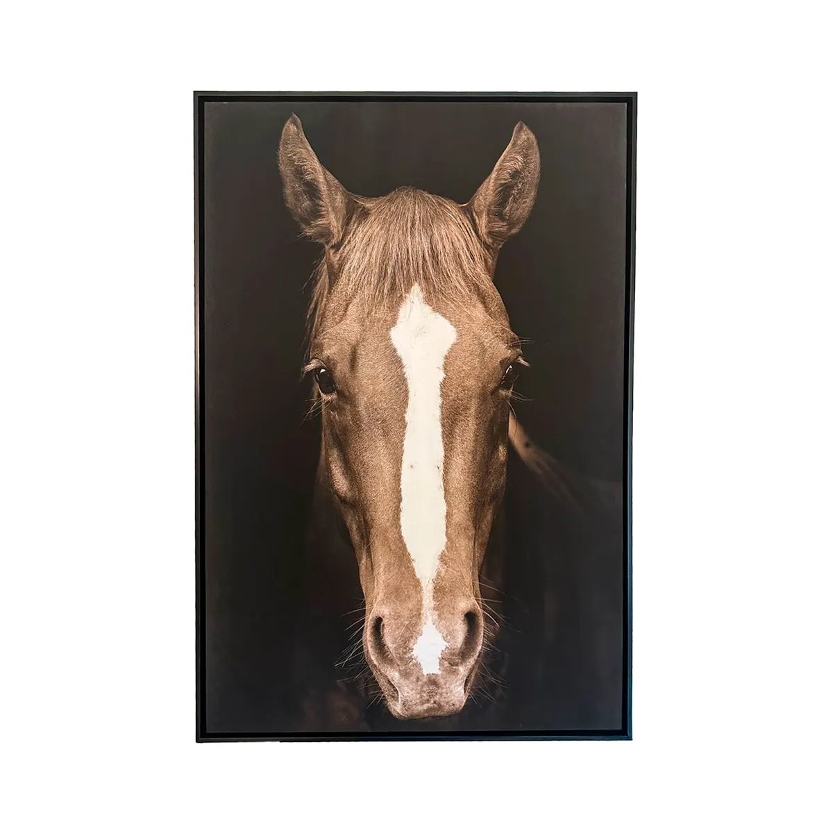 Brown Horse