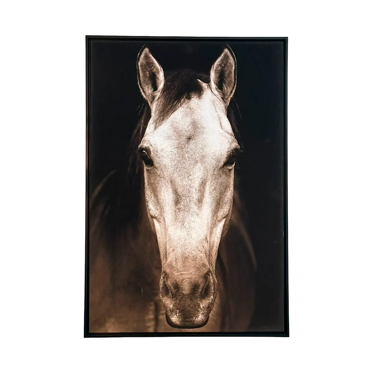 Tan Horse