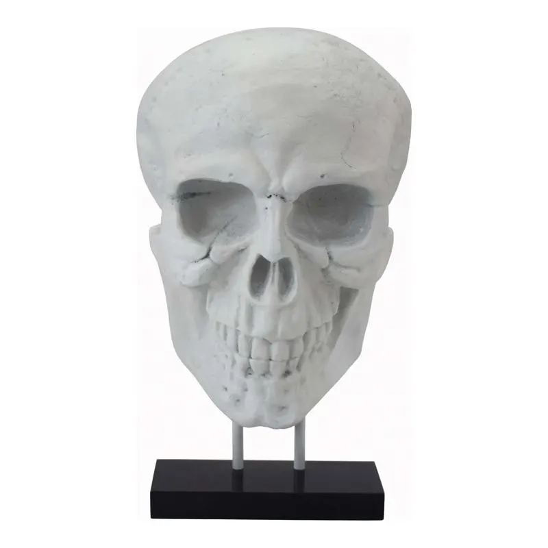 Braincase Skull Statue White