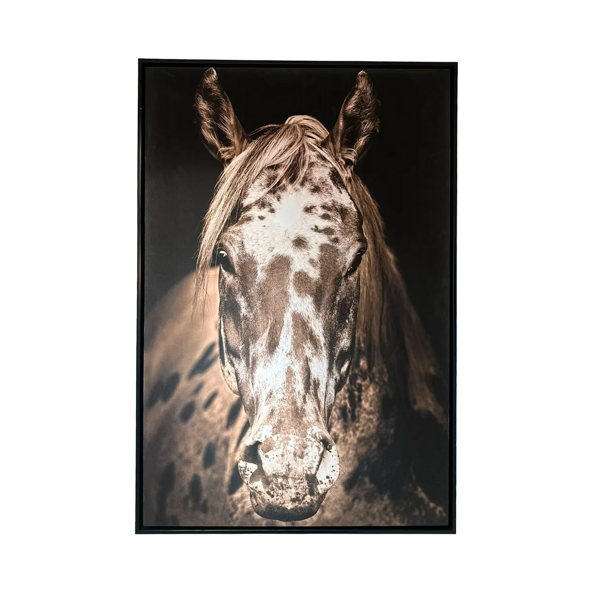 Paint Horse
