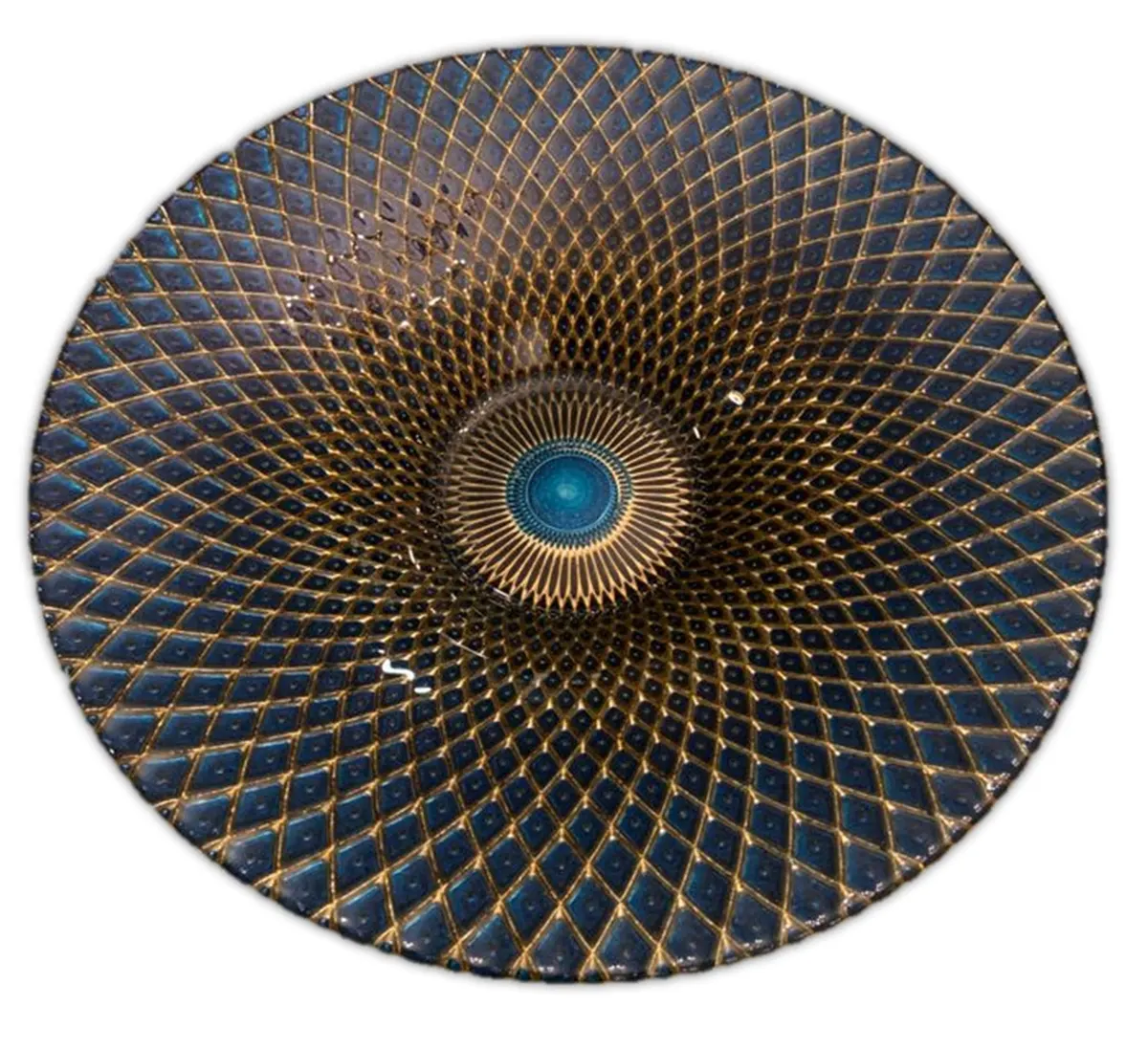 Vibrant Peacock