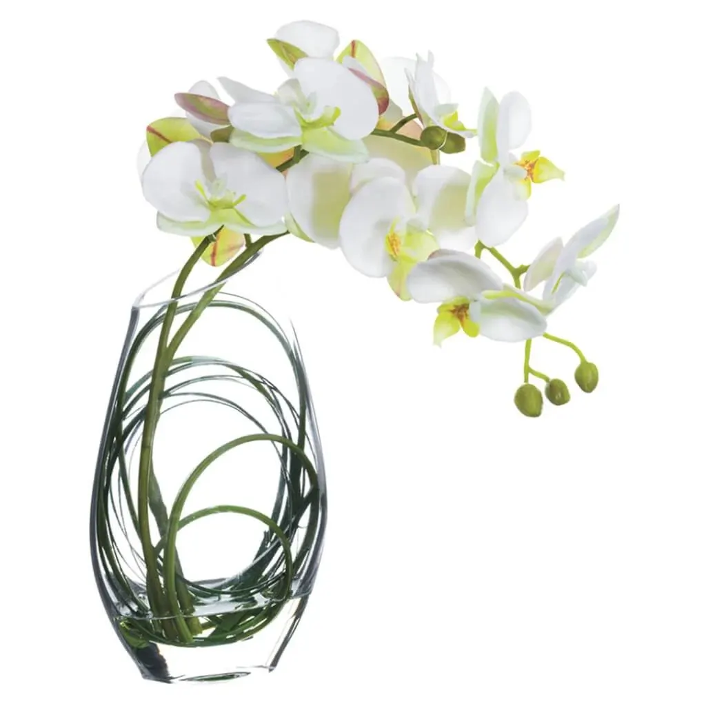 11"phalaenopsis In Glass Vase